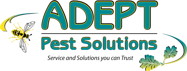 Client Service Design:  Adept Pest Solutions logo