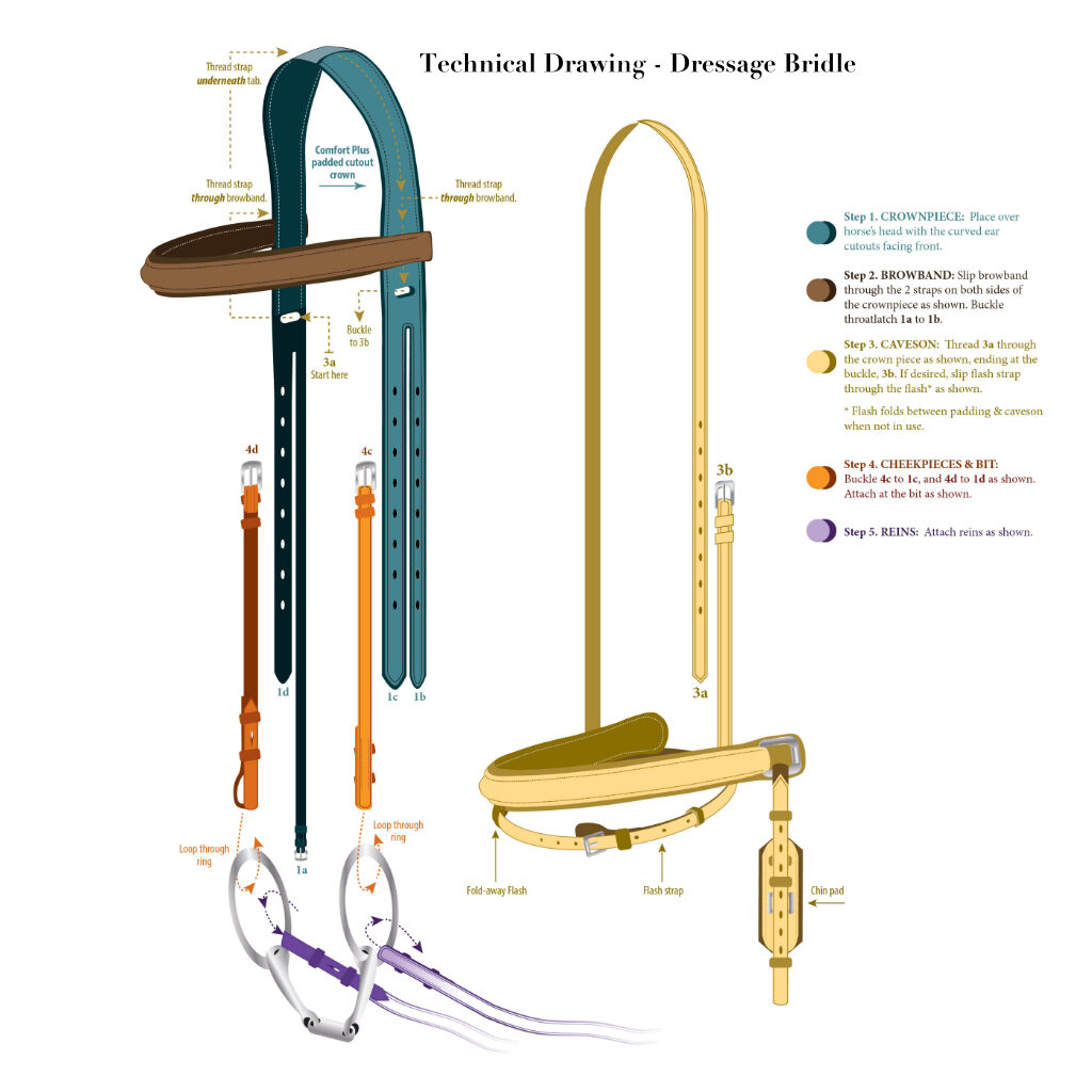 Dressage Bridle technical drawing